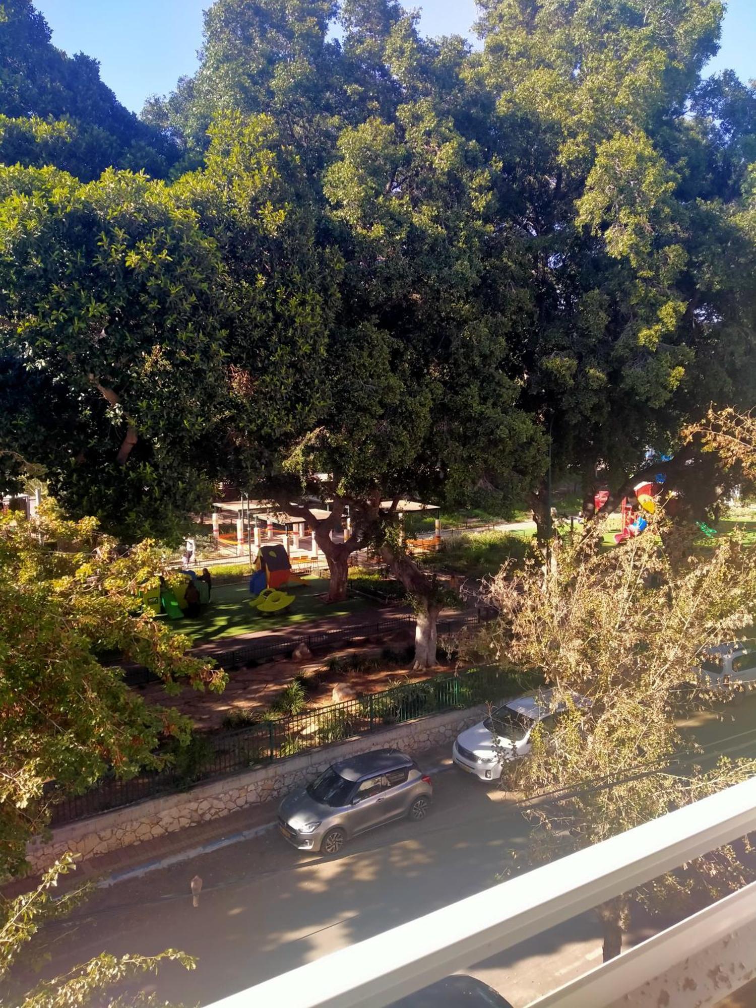 Espace Et Serenite Netanya Esterno foto